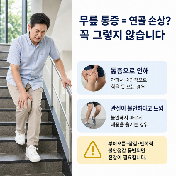 무릎 통증이 곧 연골 손상은 아니라는 점을 설명한 삼양동 내일맑음재활의학과 이미지
